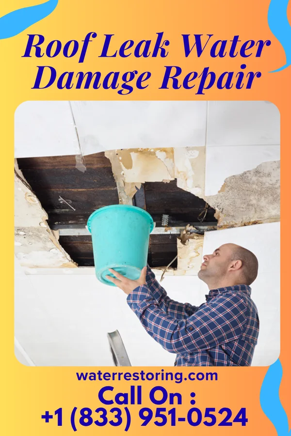 Roof Leak Water Damage Repair in Donaldsonville, LA