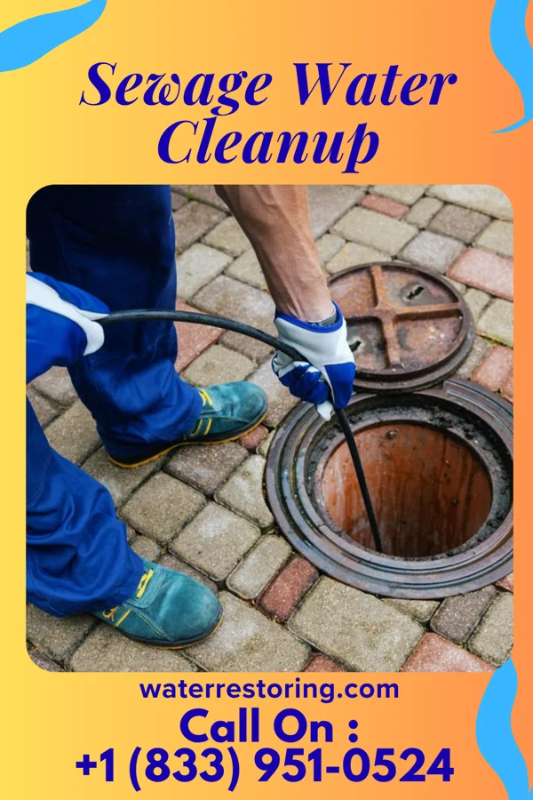 Sewage Water Cleanup in Donaldsonville, LA